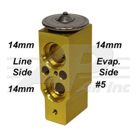 45102981