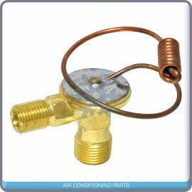 A/C Expansion Valve for Dodge Mini Ram, Raider, Ram 50 / Mitsubishi Mighty... QR - Qualy Air