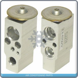 A/C Expansion Valve for Sentra QR - Qualy Air