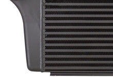 Load image into Gallery viewer, New Intercooler for Ford F-150 Ecoboost 3.5L Turbo (11-12)