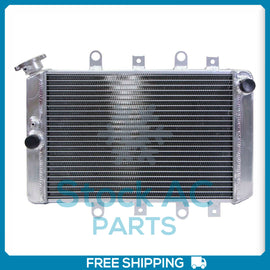 Radiator High Performance fits Yamaha 09-14 Grizzly 550 700, 1HP-E24... QAC