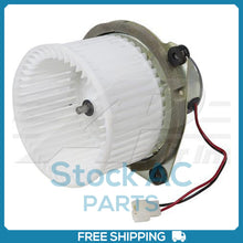 Load image into Gallery viewer, 45101794