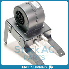 Load image into Gallery viewer, 45103735