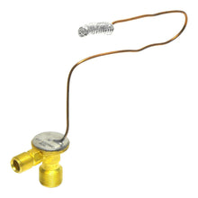 Load image into Gallery viewer, 43361788