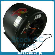 Load image into Gallery viewer, 45101765