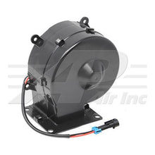 Load image into Gallery viewer, 45101718