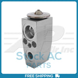 A/C Expansion Valve for Jeep OE# 68157052AA