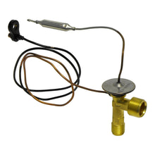 Load image into Gallery viewer, 43361809