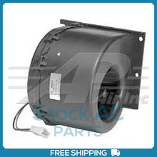 Load image into Gallery viewer, 45101757