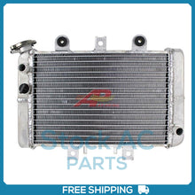 Load image into Gallery viewer, 45100820