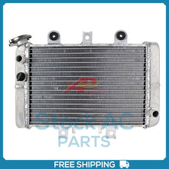 New Radiator for Polaris Predator OE# 1240130