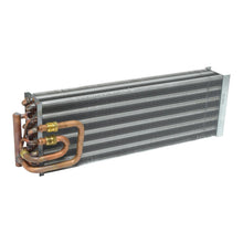 Load image into Gallery viewer, 43361549