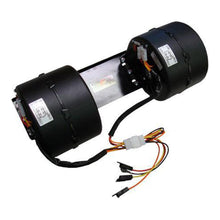 Load image into Gallery viewer, 45101726