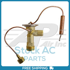 Externally Equalized With 6" Capillary Tube  Metric