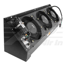 Load image into Gallery viewer, 45100119