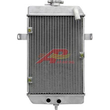 Load image into Gallery viewer, 45100428