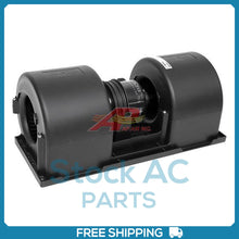 Load image into Gallery viewer, 45101917