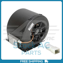 Load image into Gallery viewer, 45101729