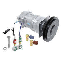 Load image into Gallery viewer, 45098987