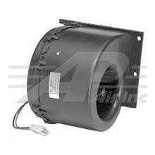 Load image into Gallery viewer, 45101757