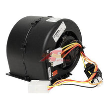 Load image into Gallery viewer, 45101974