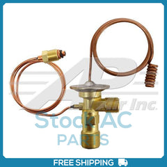 Externally Equalized With 33" Capillary Tube