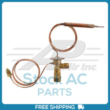 Load image into Gallery viewer, 45102937