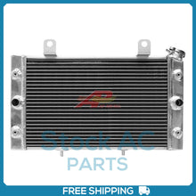 Load image into Gallery viewer, 45100421