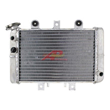 Load image into Gallery viewer, 45100820