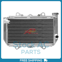 Load image into Gallery viewer, 45100425