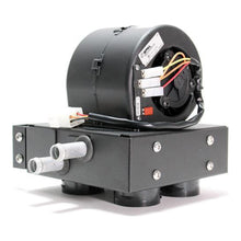 Load image into Gallery viewer, 45103719