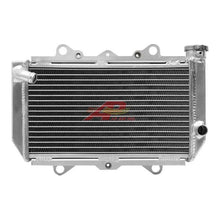 Load image into Gallery viewer, 45100425