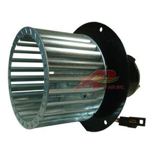 Load image into Gallery viewer, 45101675