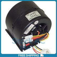 Load image into Gallery viewer, 45101723