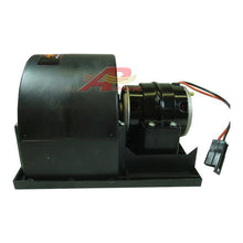 Load image into Gallery viewer, 45101781