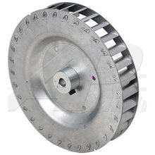 Load image into Gallery viewer, 45101904