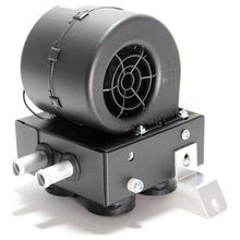 Load image into Gallery viewer, 45103701