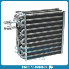 Load image into Gallery viewer, 43361492