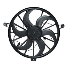 Load image into Gallery viewer, 43357931