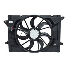 Load image into Gallery viewer, 43358567