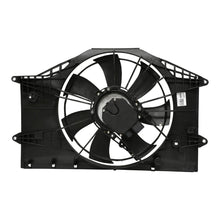 Load image into Gallery viewer, 43358124