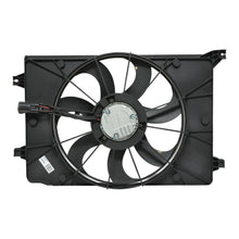 Load image into Gallery viewer, 43358388