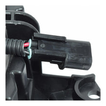 Load image into Gallery viewer, 43357940