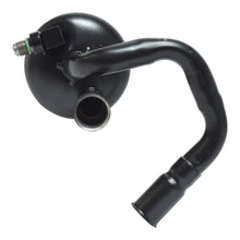 Load image into Gallery viewer, 43358245