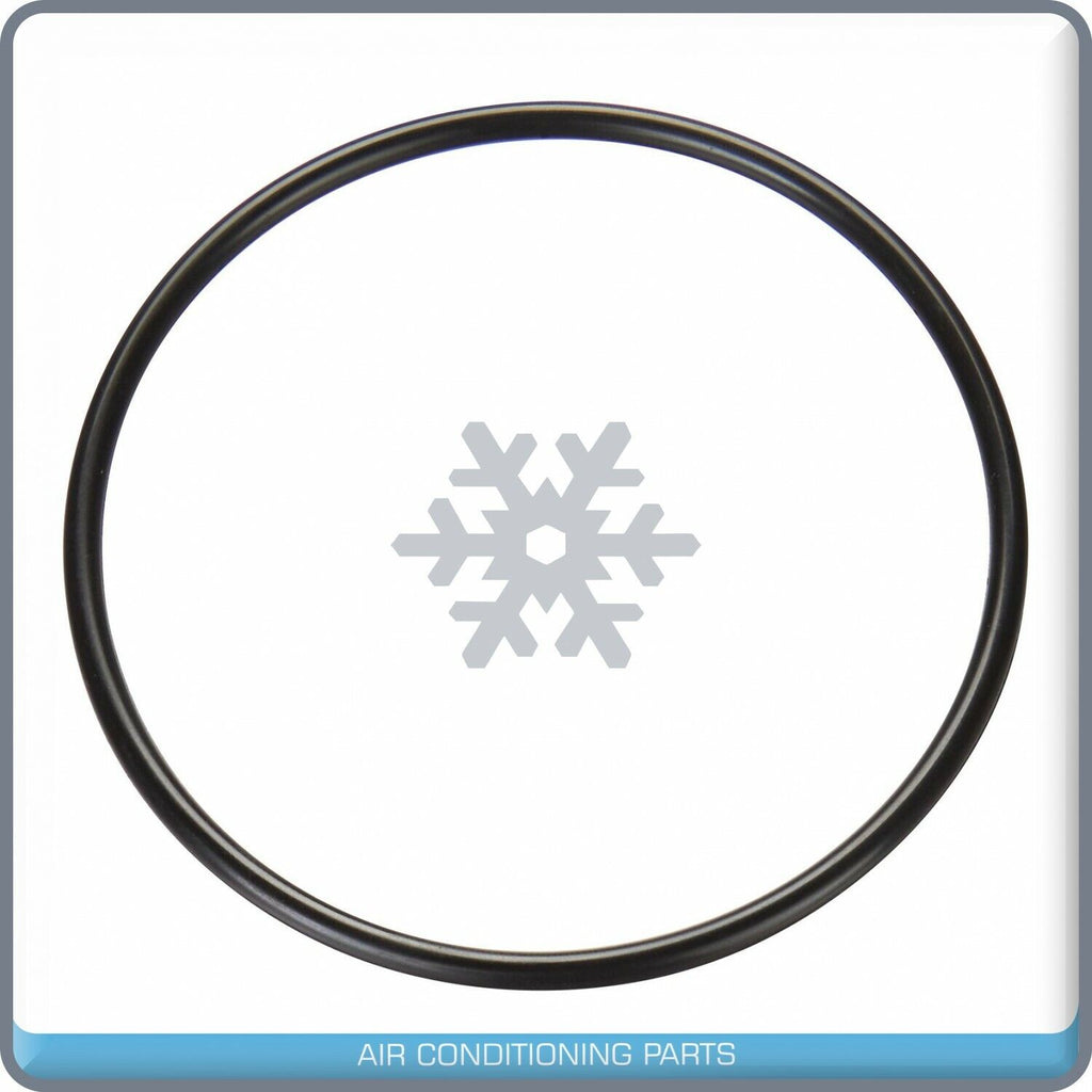 Electric Fuel Pump Module for Ford Explorer Mercury Mountaineer 4.6L 2004-05 QOA - Qualy Air