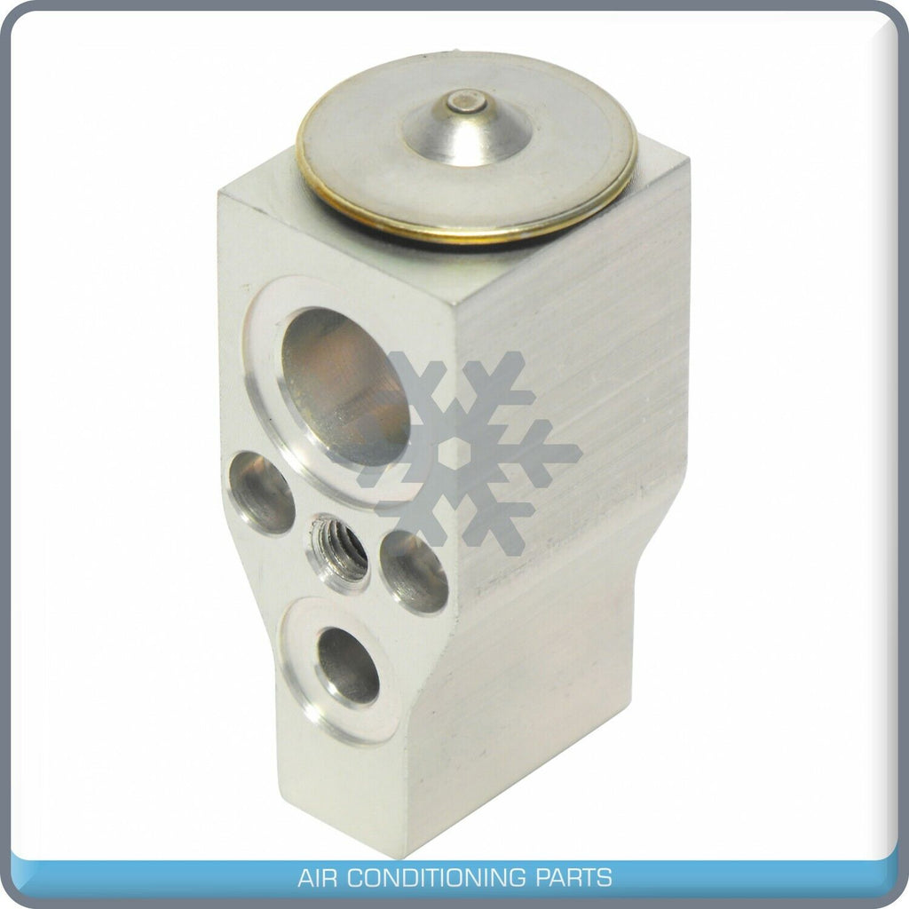A/C Expansion Valve for Buick Terraza / Chevrolet Uplander / Pontiac Monta... QR - Qualy Air