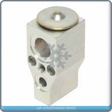 Load image into Gallery viewer, A/C Expansion Valve for Buick Terraza / Chevrolet Uplander / Pontiac Monta... QR - Qualy Air