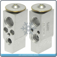 Load image into Gallery viewer, A/C Expansion Valve for Mitsubishi Galant QR - Qualy Air
