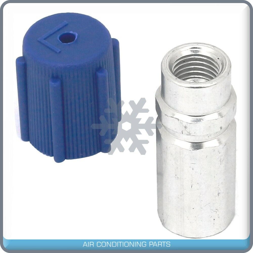 Set 10pcs Low Side AC Ball Valve Core Charge Port Fits:GM Ford Audi Vw  M10x1,25 - Qualy Air