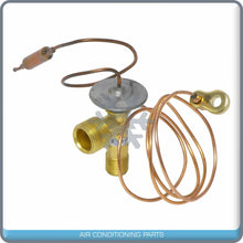 Load image into Gallery viewer, A/C Expansion Valve for Acura RL QR - Qualy Air